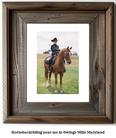 horseback riding near me in Owings Mills, Maryland